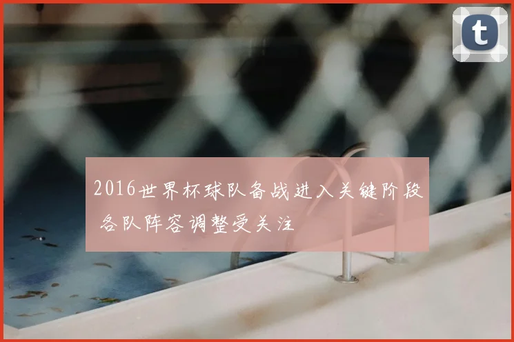 2016世界杯球队备战进入关键阶段 各队阵容调整受关注
