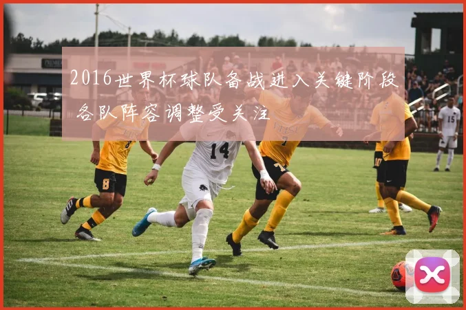 2016世界杯球队备战进入关键阶段 各队阵容调整受关注