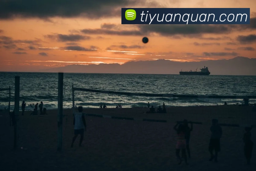 世界杯app平台发展历程